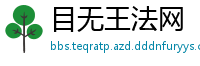 目无王法网